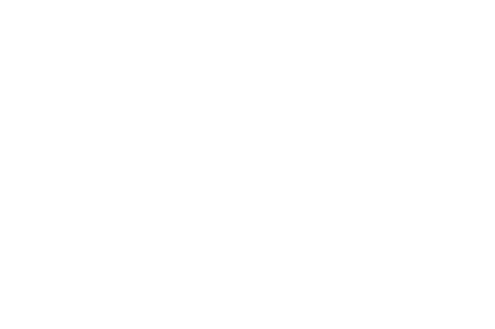 OFFICIAL SELECTION Spotlight Horror Film Awards 2017 white